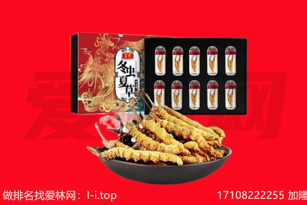 金华回收虫草.jpg